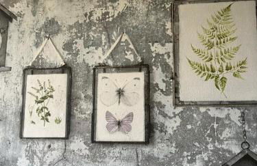 Charming Aldershot Home - Free Parking - Foto 4