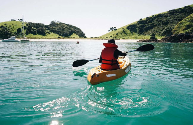 Bay of Islands Boat Trip - Photo 2