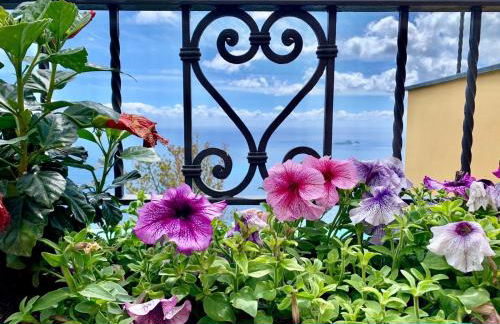 Anna Apartment - Foto 22