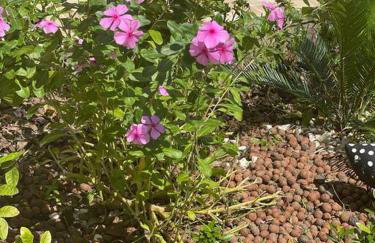 Tiny house AR, Wi-Fi, TV cozinha, proximo a Unig - Foto 43