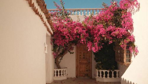 Casa Xuixo in Tenerife South - Foto 2