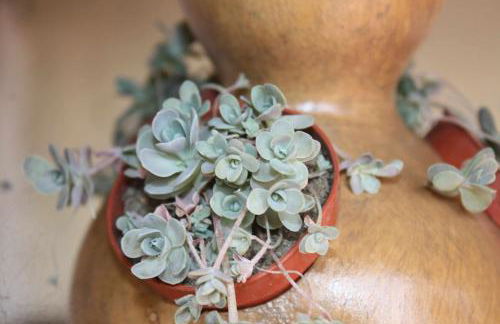 Quinta do Casal da Bica - Foto 40