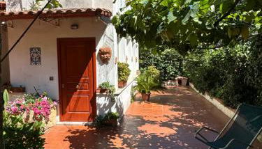 L'orchidea del faro - Foto 3, Garden