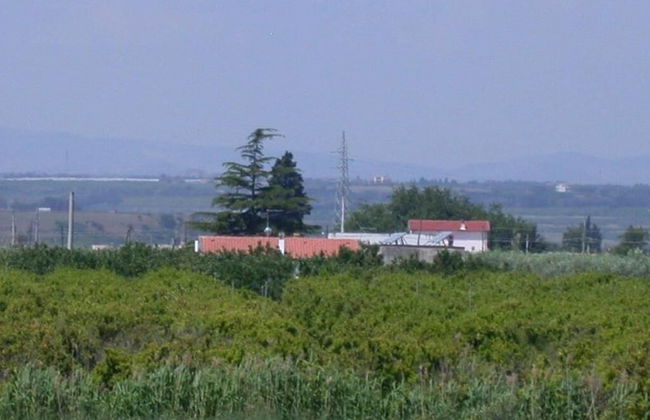 Casavacanze BioMele - Foto 20