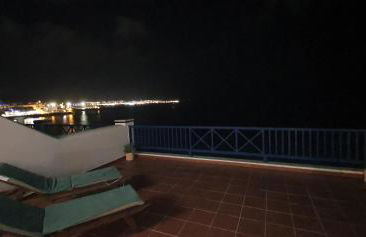 Erizo de mar - Foto 47