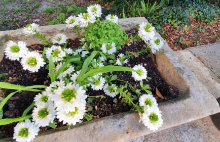 Maison Dream in Marciac - Photo 22