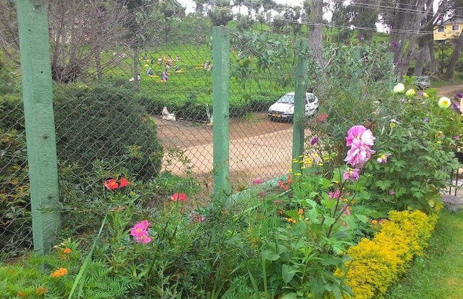 GuestHouser 3 BHK Cottage 11bf - Foto 20