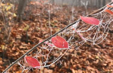 Ferienwohnung Auszeit am Kurpark Bad Berka - auch im Frühling toll! # Balkon # ruhige Lage # gratis Parkplatz & WLAN # Nähe Weimar # Weimarer Land - Photo 37