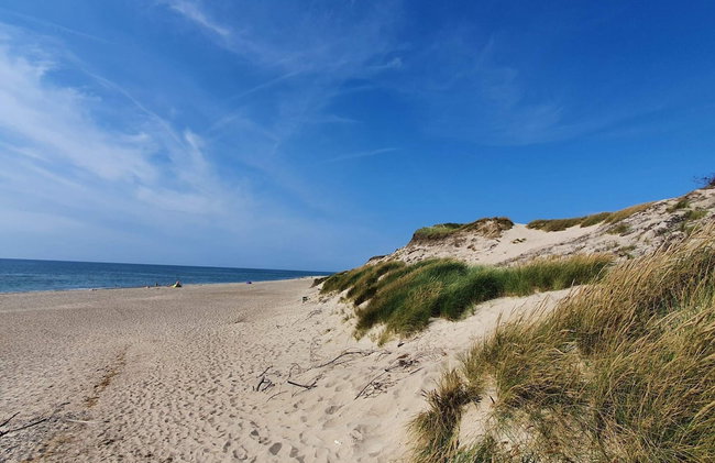 4 Star Holiday Home in Ulfborg - Photo 44