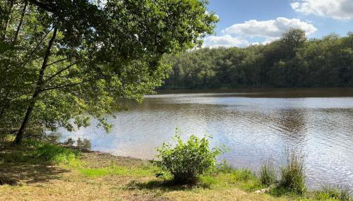 Cottage entier 4 ou 6 personnes gîte 19 - Foto 2