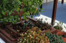 Seaside family Apartment in Paralia Dionisiou - Foto 31