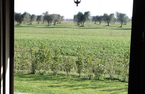 Agriturismo Le Chiare Stelle - Foto 31