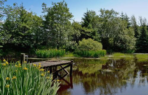 Swallow Lodge - Foto 28