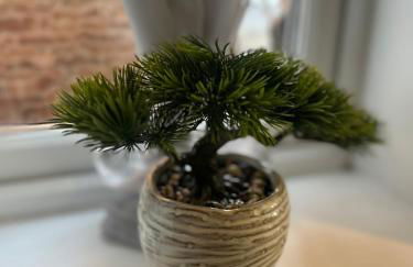 Park View House - Spacious 3 Bed Home in Burton - Foto 43