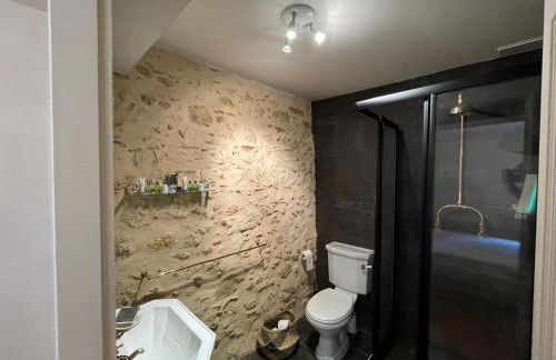 Ferme domaine de Maurel - Foto 18