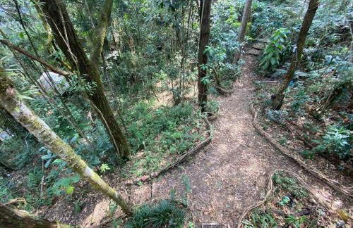 Casa Bambu Floresta Amada - Photo 23