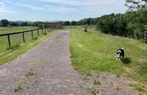 Mallard s Retreat - Photo 21