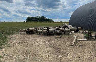 Filipowe Zacisze - Foto 6