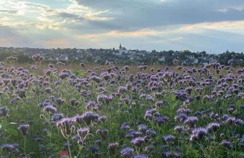 Ferienwohnung Sofie - Foto 63