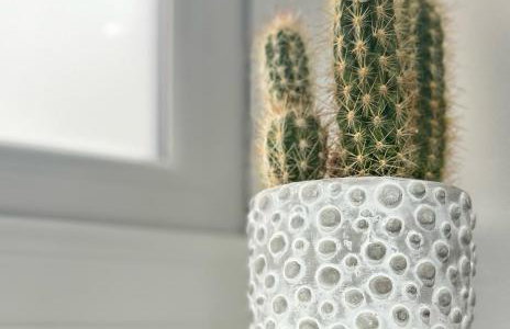 NEW Tendaka Stylish Hideaway - Photo 17