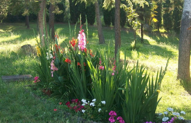 Podere Le Rote Private Farmhouse - Foto 36