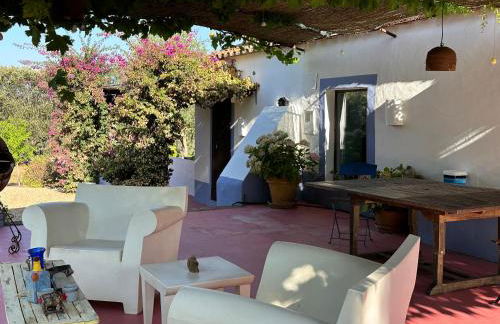 Courela do Monte Novo - Photo 23