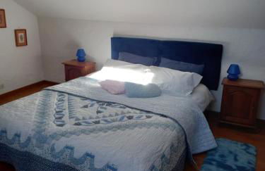 le héron cendré - Foto 12