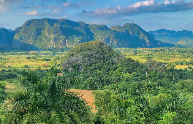 Viñales Valley Private Classic Car Tour - Photo 3