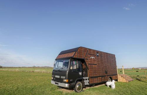 GiGi's Horsebox - Foto 13
