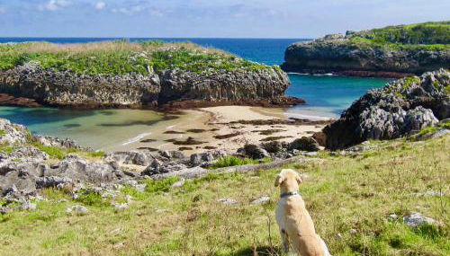 APARTAMENTOS RURALES El Llagar de Cue - Foto 5