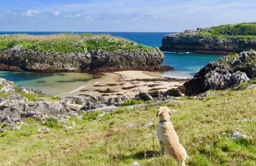 APARTAMENTOS RURALES El Llagar de Cue - Foto 5