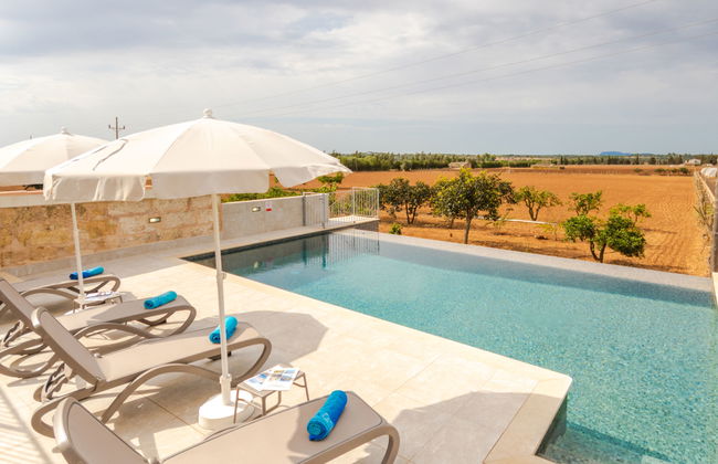 Son Vivot - Photo 33