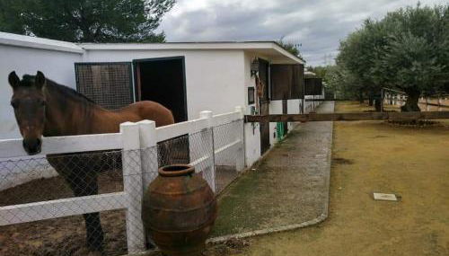 Finca Rural La Cañera 16 huéspedes - Foto 2