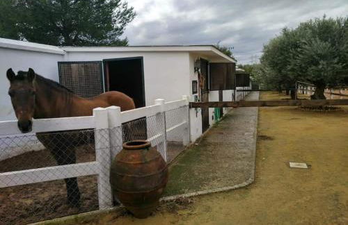 Finca Rural La Cañera 16 huéspedes - Foto 2