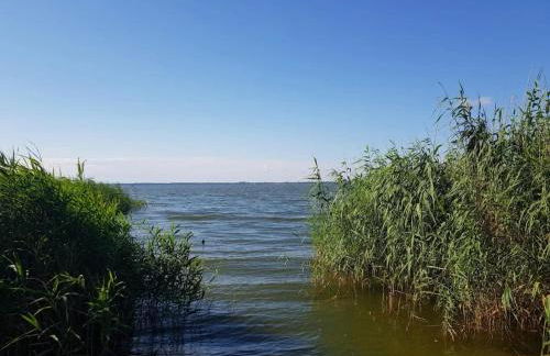 Ferienhof Neuendorfkrug, Lutow - Foto 45