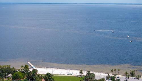 Perfect Location Vinoy Beach Getaway Sun and fun - Foto 4