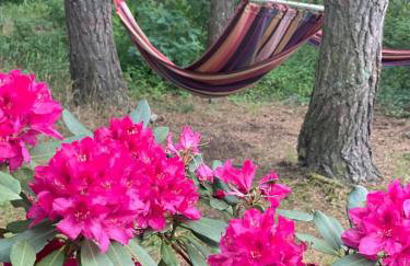 Willa Boho Cudo - Foto 26