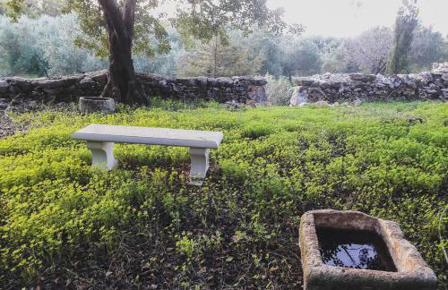 Lemon Tree Eco-Retreat - Foto 6