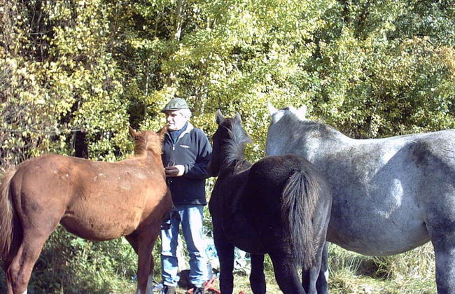 at Bunge Heath Farm - Foto 14