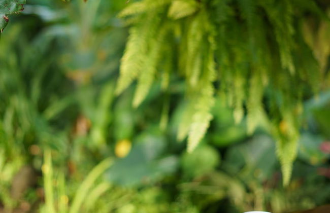 Cabañas del Rio - Foto 29