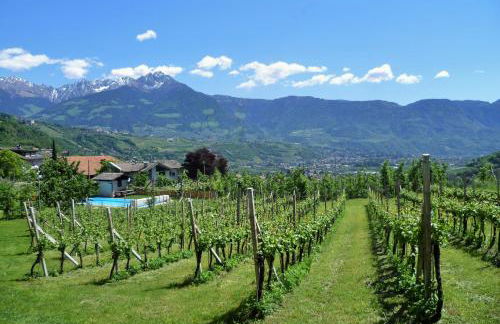 Fröhlichhof Wohnung Apfelblüte - Foto 21