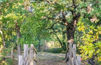 Villa La Jonche - Foto 75