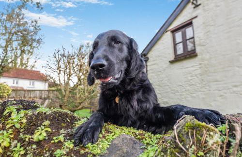 5 Bed in Middle Marwood oc-stepps - Foto 16