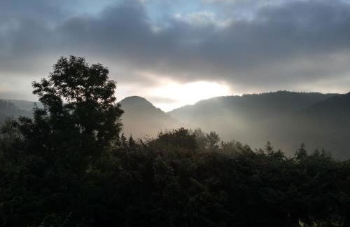 Haus Christoffel Wieda - Foto 50