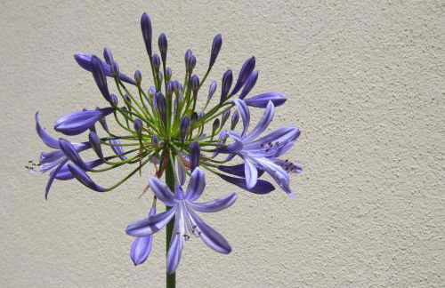 Casa René - Charming apartments - Foto 130