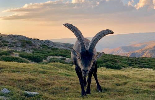 El Patio - Casa de uso turistico - Foto 17