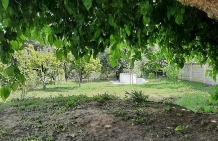 Casa da Amoreira - Barragem de Montargil - Foto 44