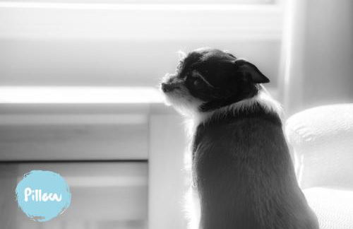 Marina View Apartment - Photo 37