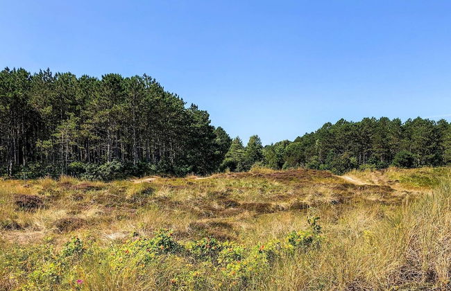 4 Person Holiday Home in Grenaa - Photo 5