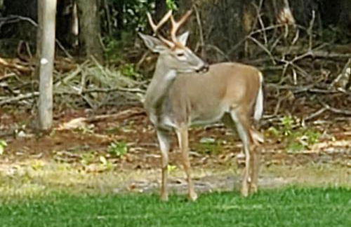 Lakeshore Glenn - Foto 33